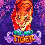 Wild Wild Tiger